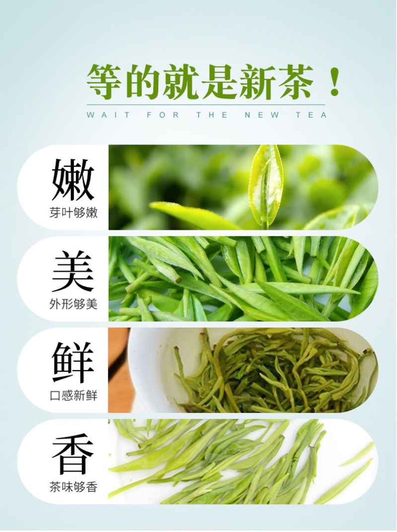 碧螺春新茶绿茶500克