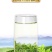 碧螺春新茶绿茶500克