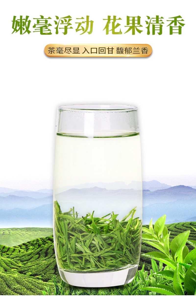 碧螺春新茶绿茶500克