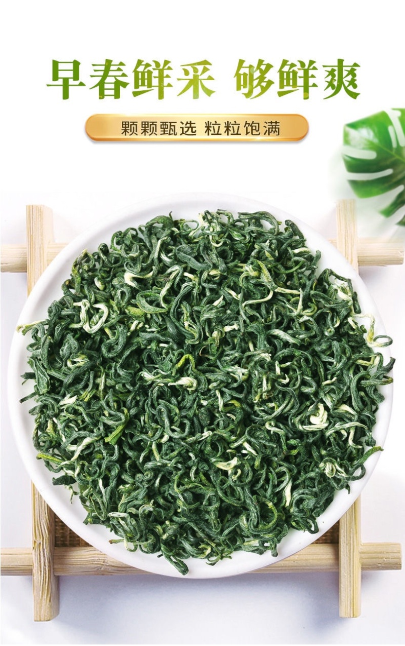 碧螺春新茶绿茶500克