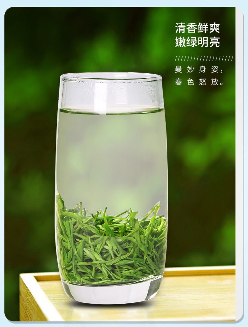 碧螺春新茶绿茶500克