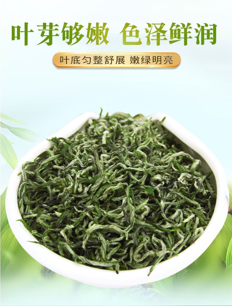 碧螺春新茶绿茶500克