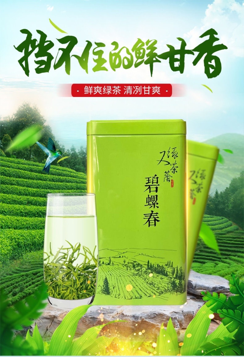 碧螺春新茶绿茶500克