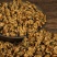 滇红茶金芽茶叶散装浓香型蜜香红金螺500g