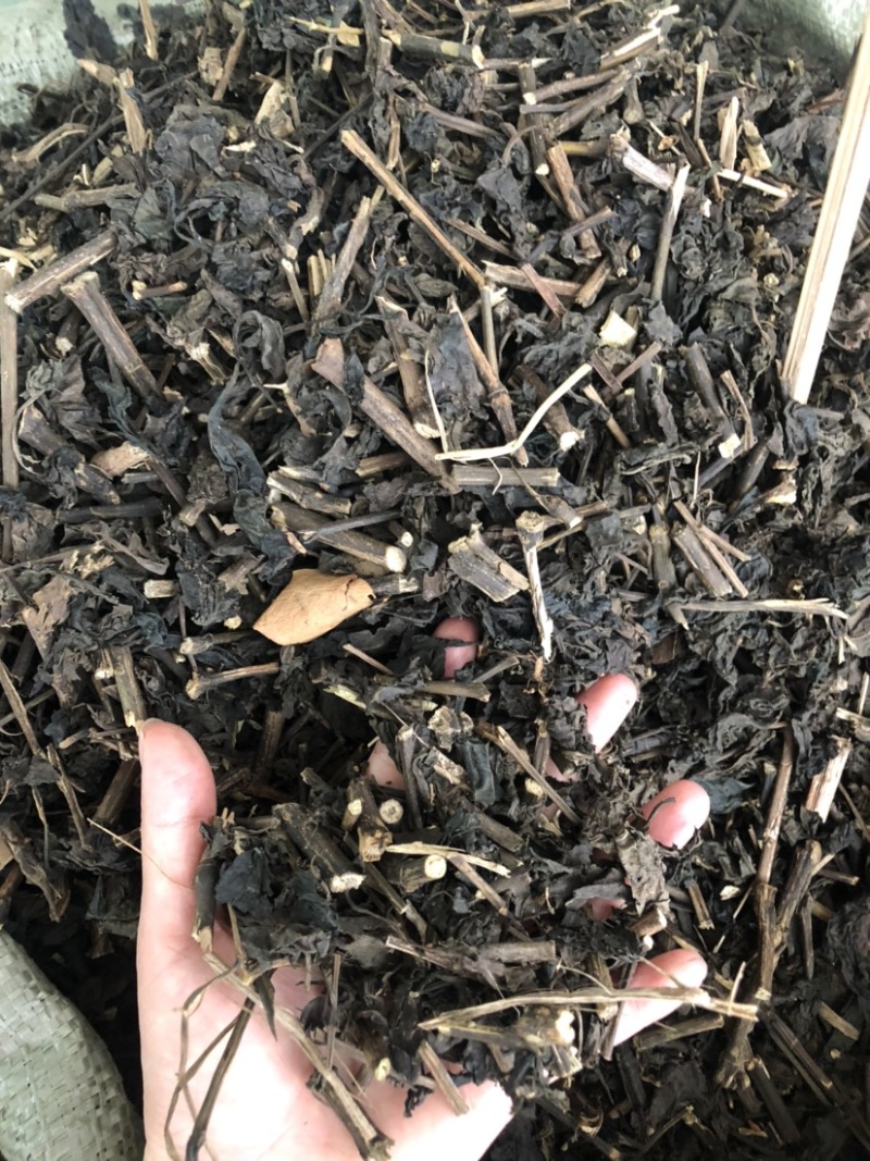 板蓝根（大青叶）批发药材各种规格，量大从优可支持代发