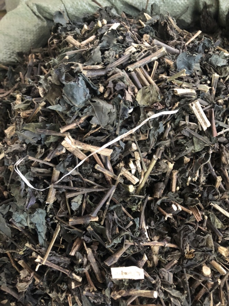 板蓝根（大青叶）批发药材各种规格，量大从优可支持代发