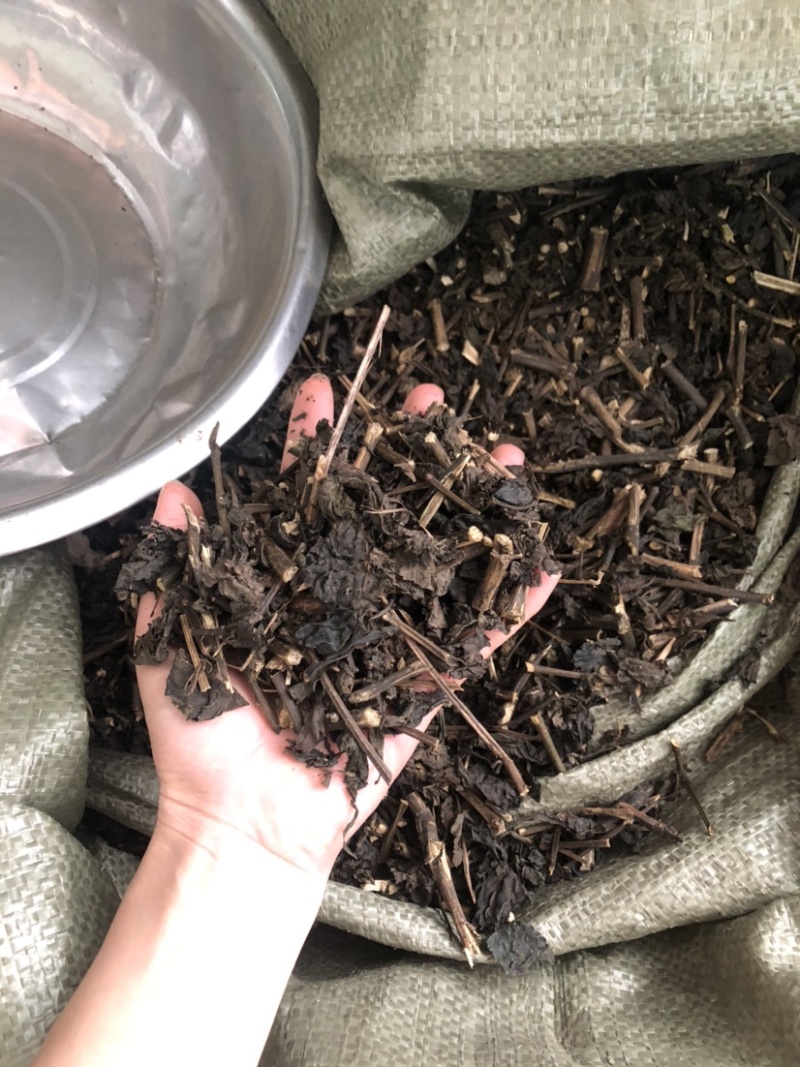 板蓝根（大青叶）批发药材各种规格，量大从优可支持代发