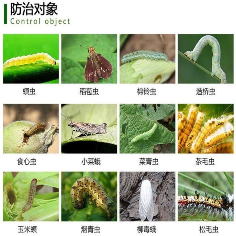 棉铃虫核型多角体病毒棉铃虫钻心虫杀虫剂盈辉唯尊20亿PI