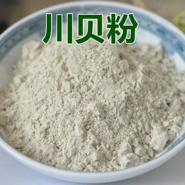 川贝打粉贝母粉川贝母粉中药材四川尖贝母500克
