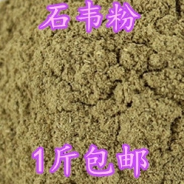 石韦粉石皮粉石苇金星草石兰石剑石背柳500克