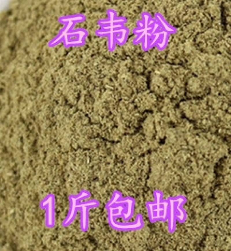 石韦粉石皮粉石苇金星草石兰石剑石背柳500克