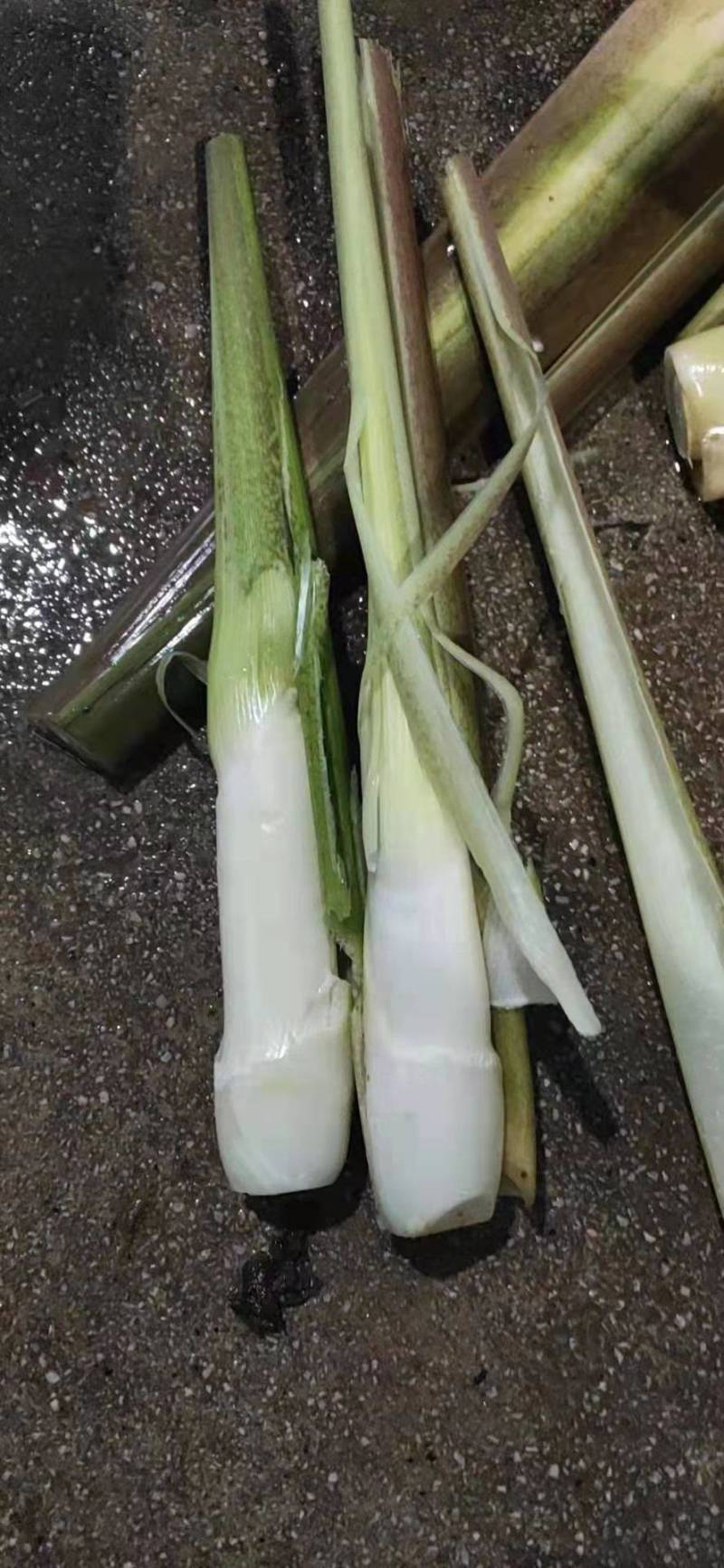 【万亩单季茭白】肉质白现摘现发价格优惠全国代发