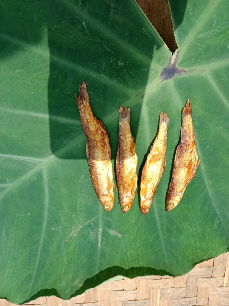 碳烤火培鱼干