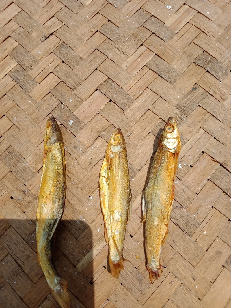碳烤火培鱼干