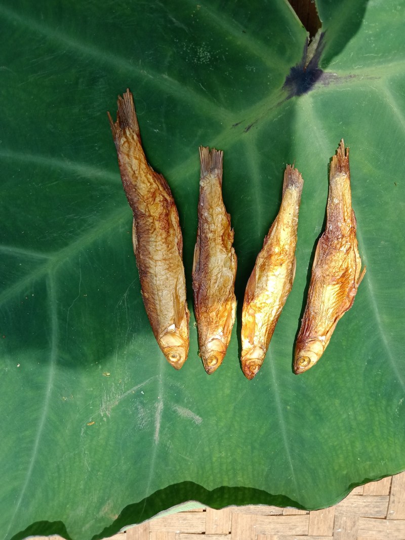碳烤火培鱼干