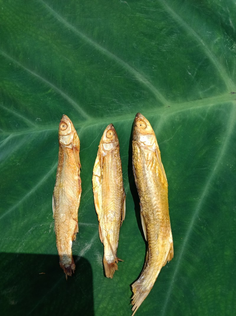 碳烤火培鱼干
