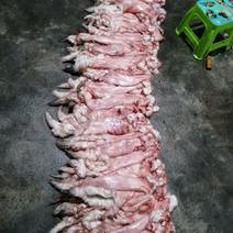 优质冻兔皮，鲜兔肉皮，每张4.5斤一只以上