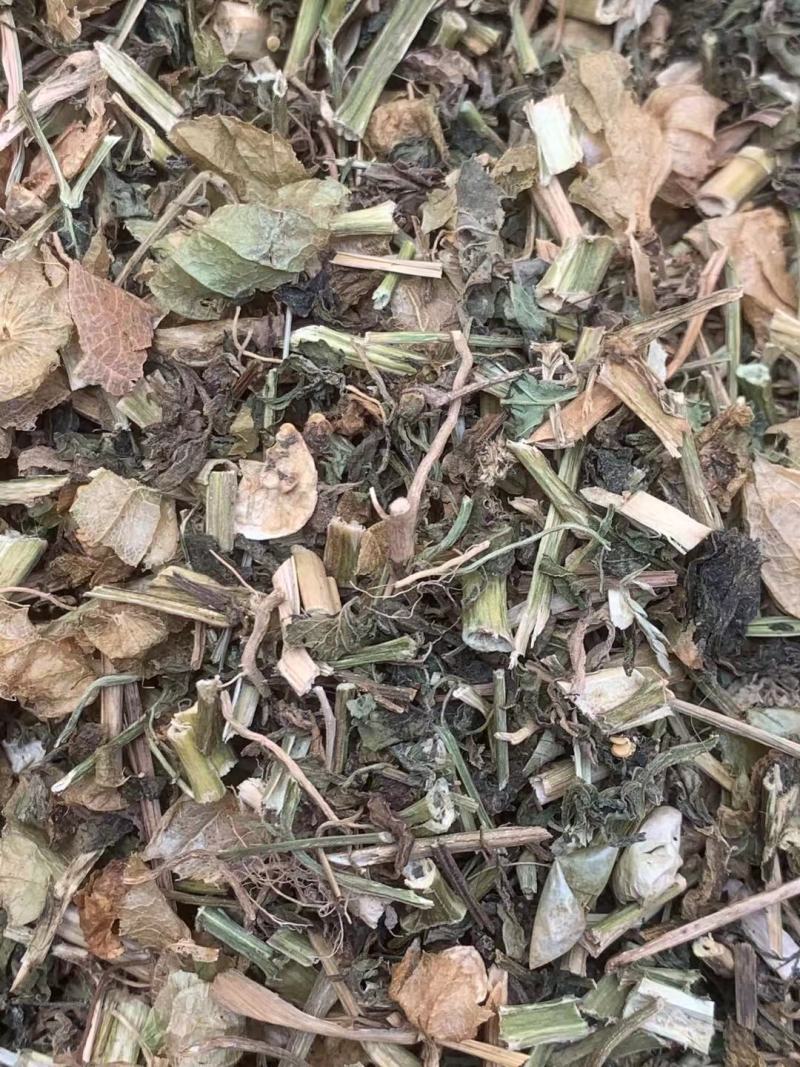 灯笼草【包邮】三斤起发货可批量可零售量大从优