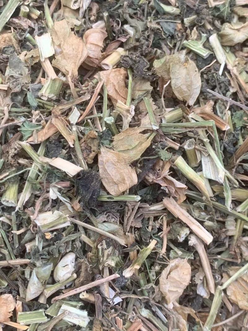 灯笼草【包邮】三斤起发货可批量可零售量大从优