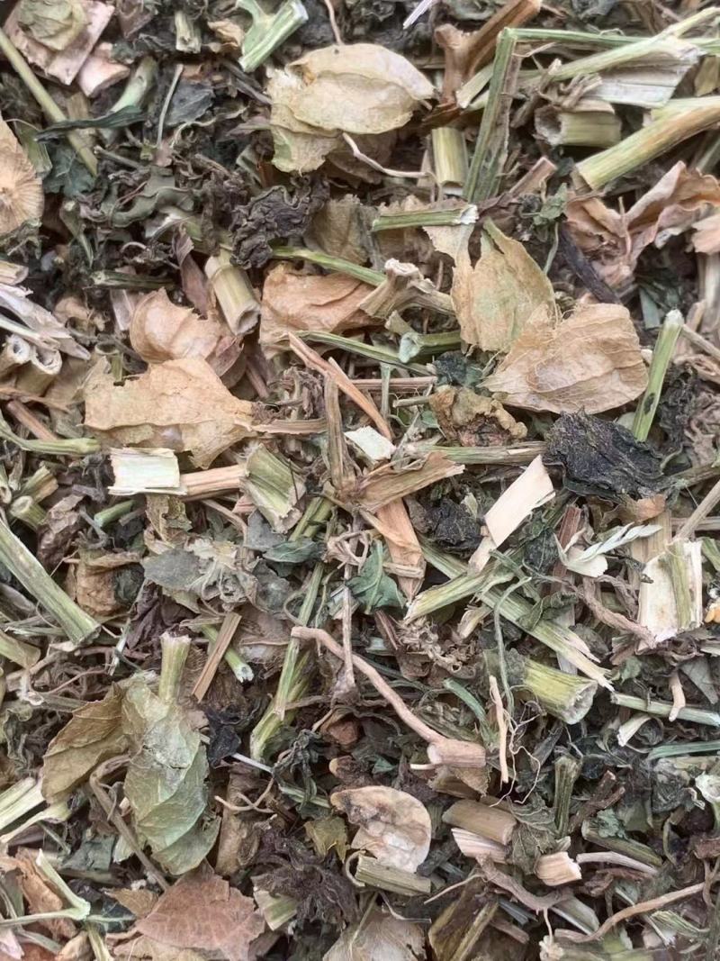 灯笼草【包邮】三斤起发货可批量可零售量大从优