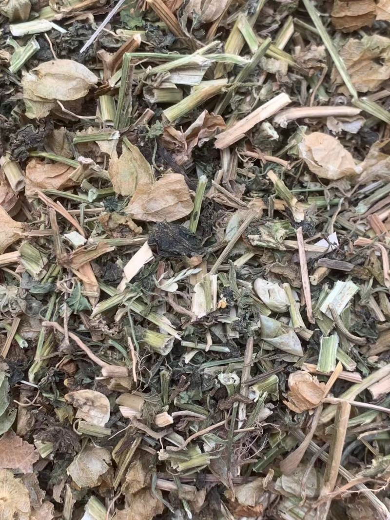灯笼草【包邮】三斤起发货可批量可零售量大从优