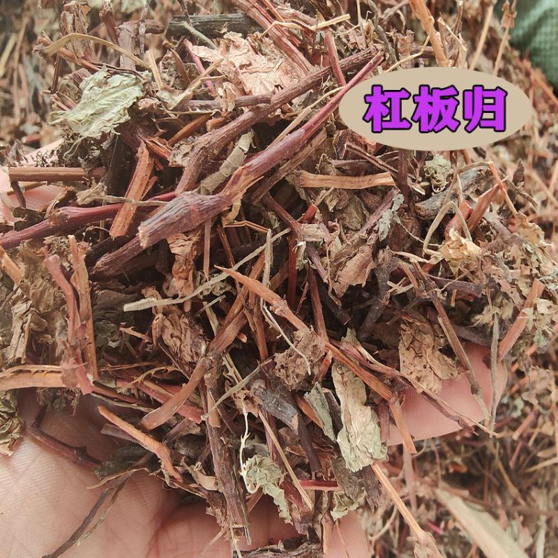 中草药杠板归蛇倒退河白草蛇不过新货