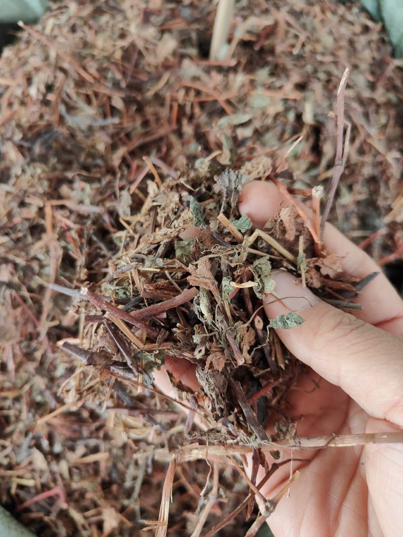 中草药杠板归蛇倒退河白草蛇不过新货