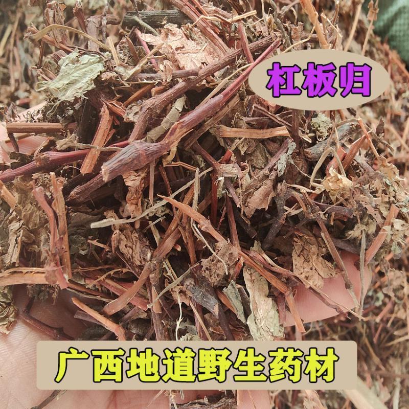 中草药杠板归蛇倒退河白草蛇不过新货