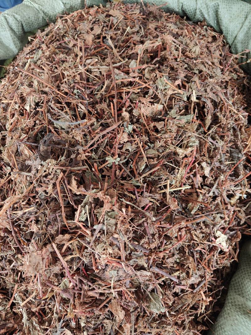 中草药杠板归蛇倒退河白草蛇不过新货