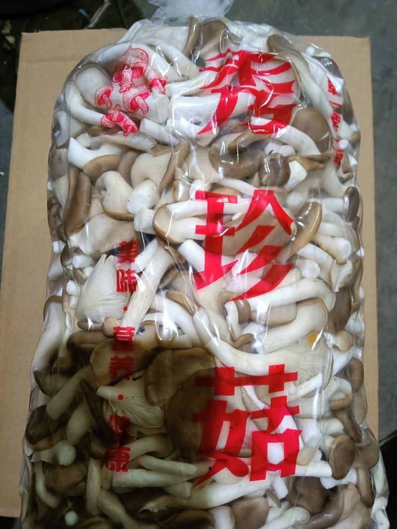 秀珍菇