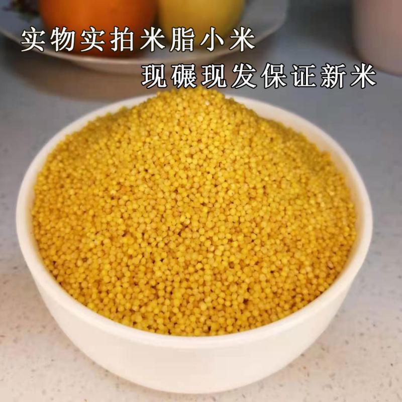 2023年新米陕北米脂黄小米农家自种小黄米月子米宝宝米粥
