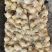 2000-4000秘鲁赤道鱿鱼嘴吧