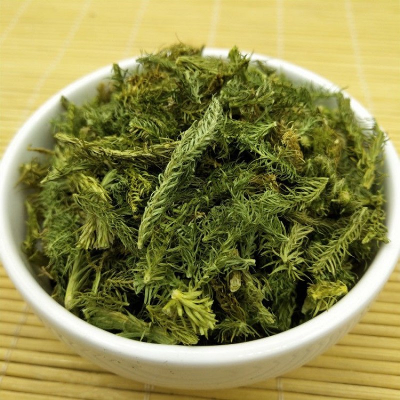 伸筋草批发中草药伸筋草透骨草泡脚伸筋草粉泡茶湿气伸筋草筋