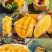 三亚金煌芒