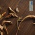 中药材石伟石韦石皮石苇金星草石兰石剑石背柳50克