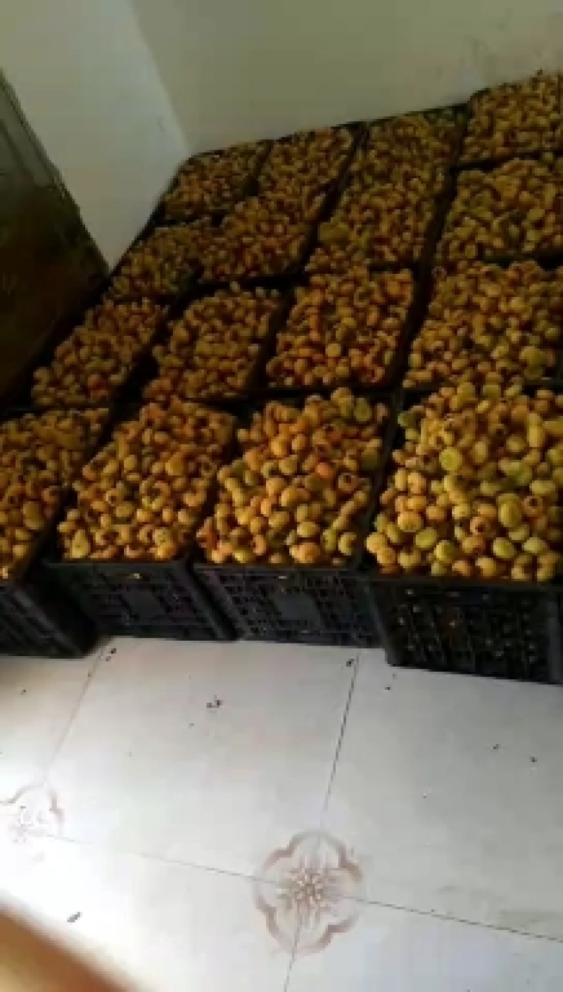 【产地直发】贵阳精品刺梨，货源充足，保质保量，来电优惠
