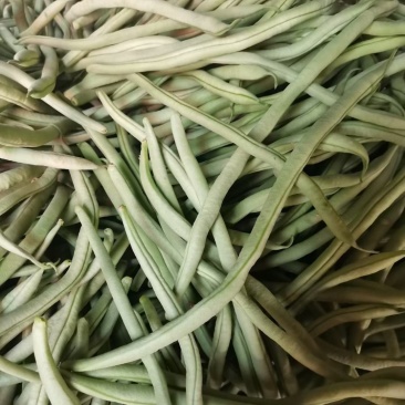 豆角