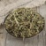 正品透骨草野生可磨透骨草粉中药透骨草珍珠透骨草中药材