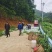 佛手瓜大量供应欢迎采购诚信经营一次合作终生朋友