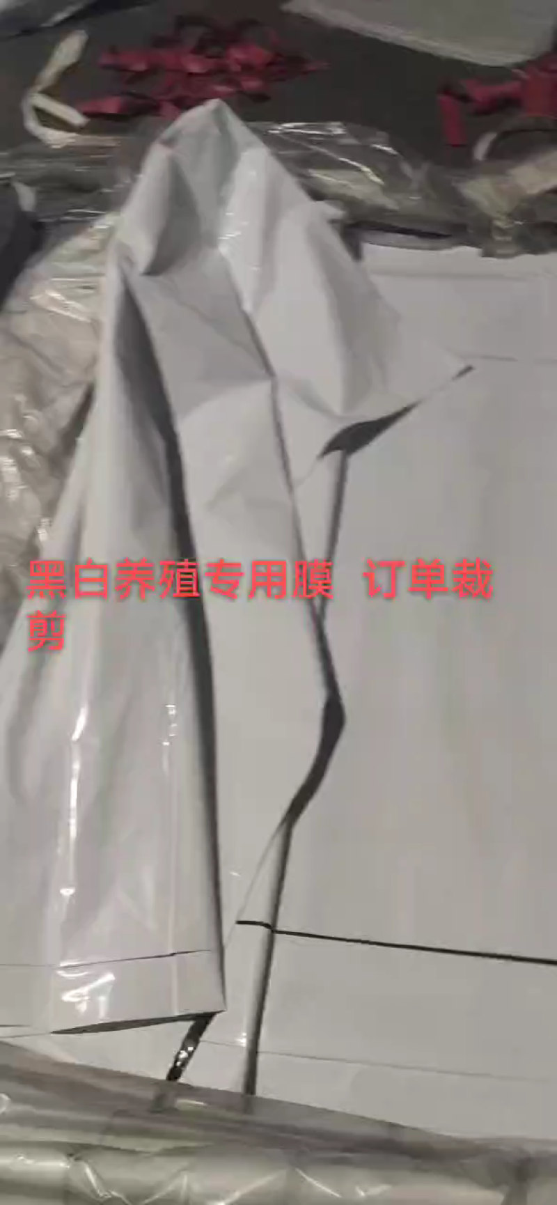 黑白膜进口加厚抗老化黑白膜养殖大棚鸡鸭塑料膜防晒隔热反光