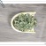 山间谷草野生仙鹤草仙鹤草500个狼牙草龙牙草