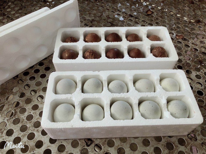 咸鸭蛋中秋礼品优选特大烤鸭蛋品种纯正假一赔十