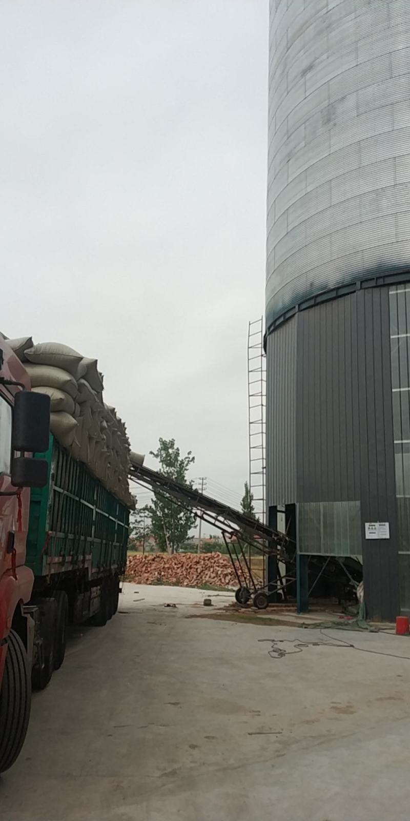 鱼台稻壳稻壳厂家养殖酿酒稻壳