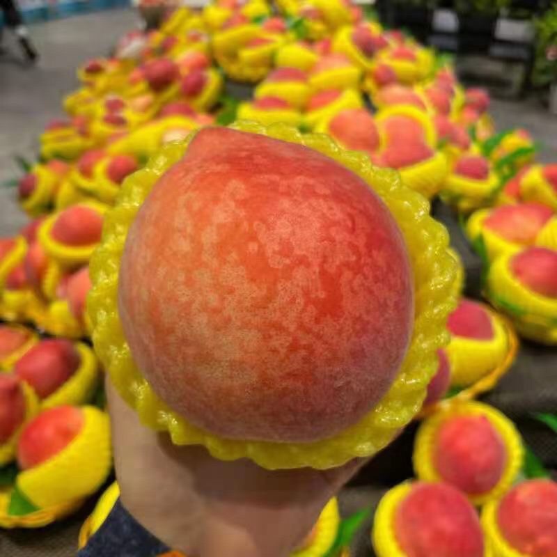 太白山下的水蜜桃🍑