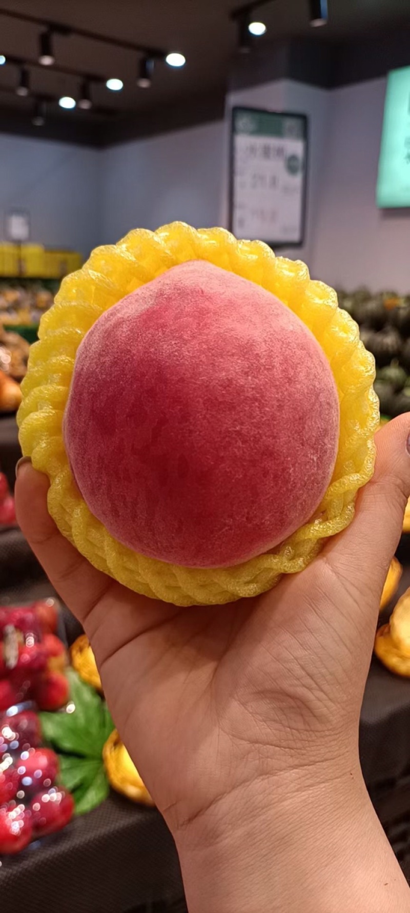 太白山下的水蜜桃🍑