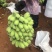 苹果蕉