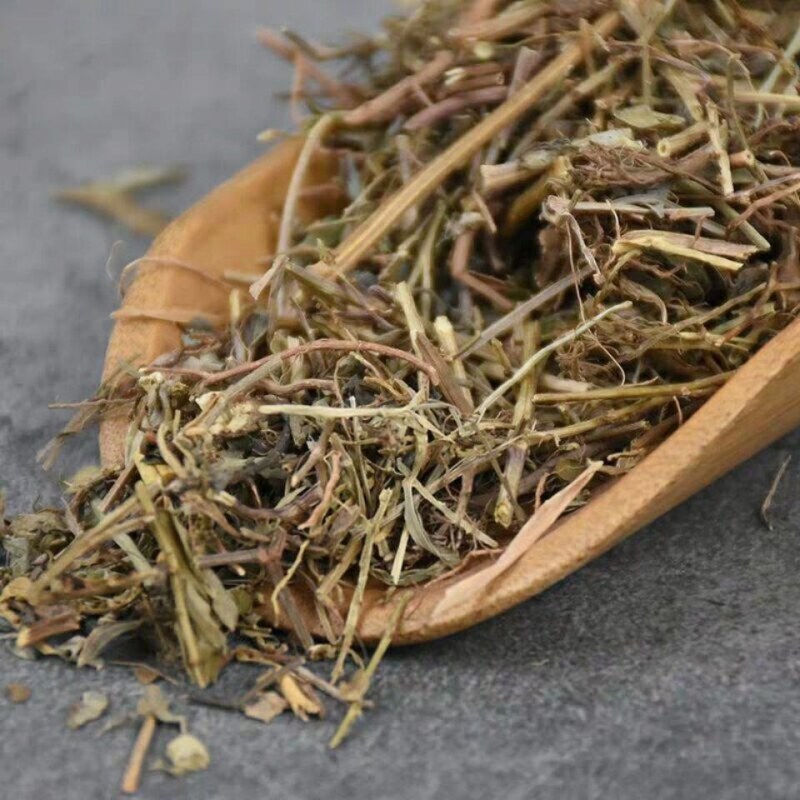 叶下珠中药材叶下珠野生珍珠草鱼鳞草叶下珠新货