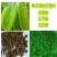 推荐天然海南沉香茶叶500g袋装茶莞香奇楠香叶正品特级