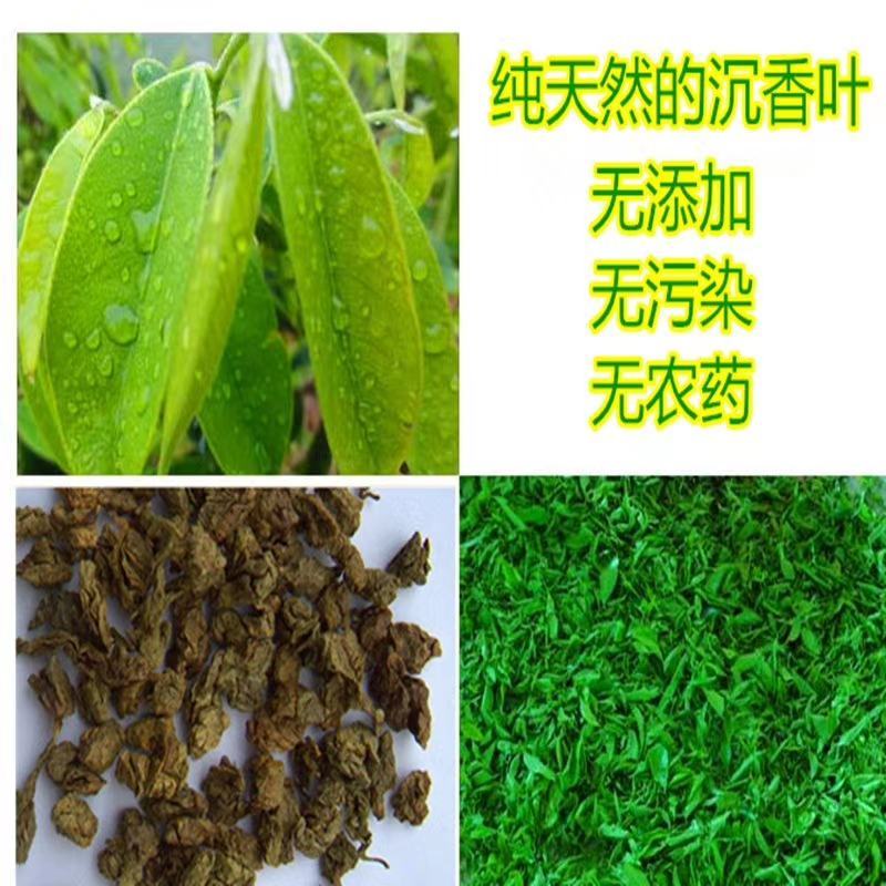 推荐天然海南沉香茶叶500g袋装茶莞香奇楠香叶正品特级