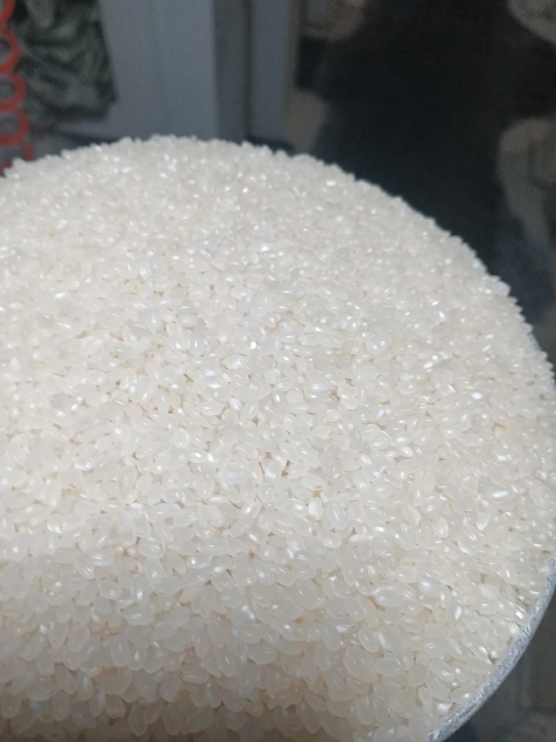 大量出售东北珍珠米价格便宜